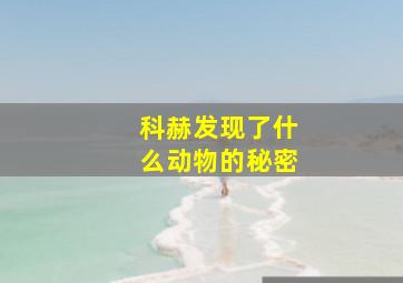 科赫发现了什么动物的秘密