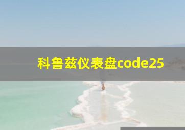 科鲁兹仪表盘code25