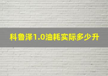 科鲁泽1.0油耗实际多少升