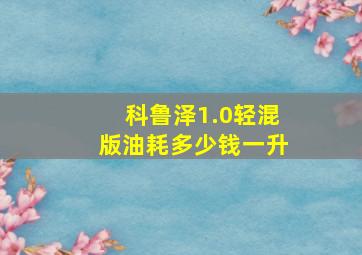 科鲁泽1.0轻混版油耗多少钱一升