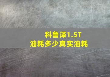 科鲁泽1.5T油耗多少真实油耗