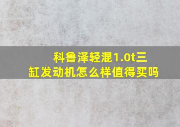 科鲁泽轻混1.0t三缸发动机怎么样值得买吗