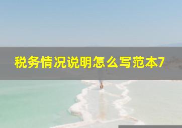 税务情况说明怎么写范本7