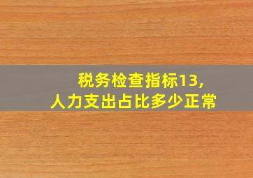 税务检查指标13,人力支出占比多少正常