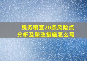 税务稽查20条风险点分析及整改措施怎么写