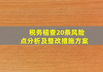 税务稽查20条风险点分析及整改措施方案