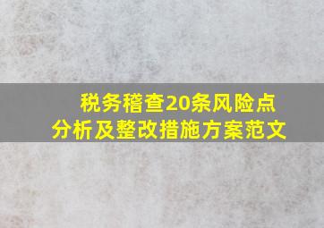 税务稽查20条风险点分析及整改措施方案范文