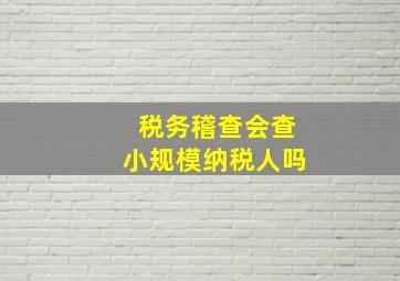 税务稽查会查小规模纳税人吗