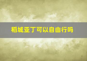 稻城亚丁可以自由行吗