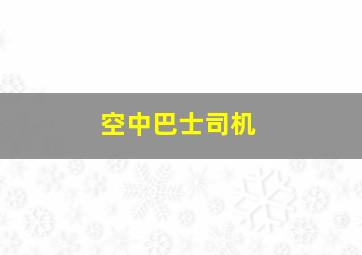 空中巴士司机