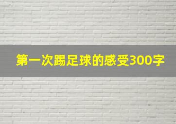 第一次踢足球的感受300字