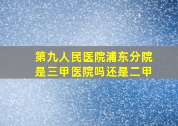 第九人民医院浦东分院是三甲医院吗还是二甲