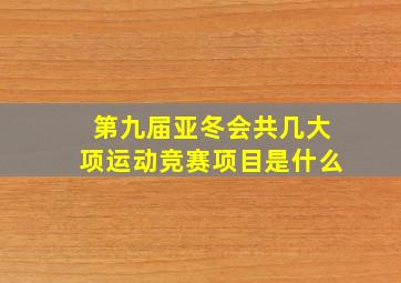 第九届亚冬会共几大项运动竞赛项目是什么