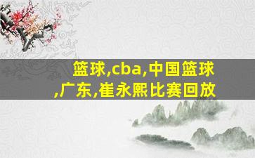 篮球,cba,中国篮球,广东,崔永熙比赛回放