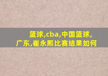 篮球,cba,中国篮球,广东,崔永熙比赛结果如何