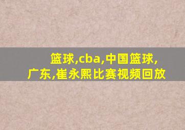 篮球,cba,中国篮球,广东,崔永熙比赛视频回放