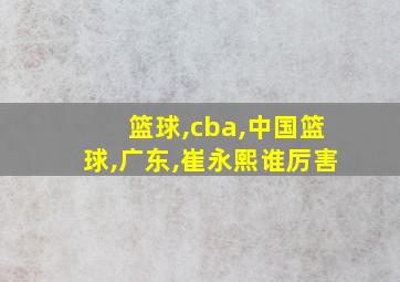 篮球,cba,中国篮球,广东,崔永熙谁厉害