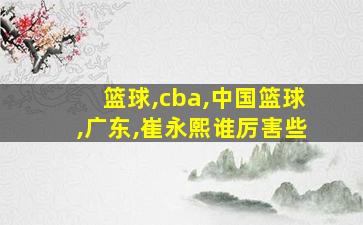 篮球,cba,中国篮球,广东,崔永熙谁厉害些