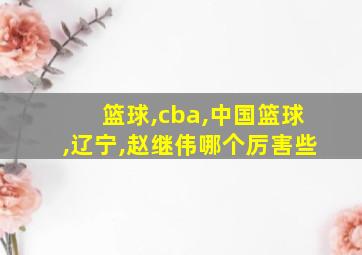 篮球,cba,中国篮球,辽宁,赵继伟哪个厉害些