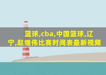 篮球,cba,中国篮球,辽宁,赵继伟比赛时间表最新视频