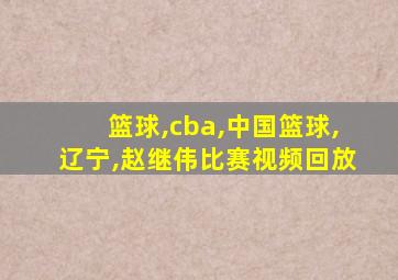 篮球,cba,中国篮球,辽宁,赵继伟比赛视频回放