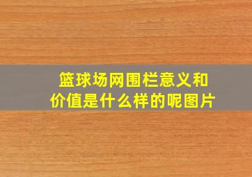 篮球场网围栏意义和价值是什么样的呢图片