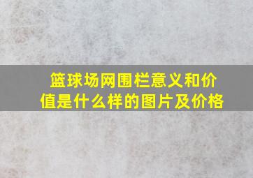 篮球场网围栏意义和价值是什么样的图片及价格