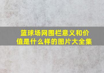 篮球场网围栏意义和价值是什么样的图片大全集