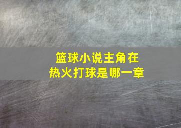 篮球小说主角在热火打球是哪一章