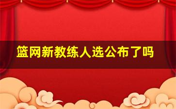 篮网新教练人选公布了吗