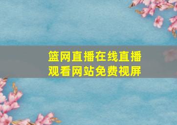 篮网直播在线直播观看网站免费视屏