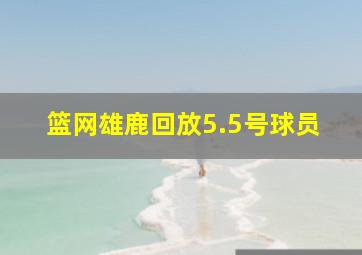 篮网雄鹿回放5.5号球员