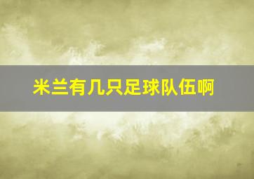 米兰有几只足球队伍啊