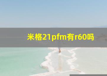 米格21pfm有r60吗