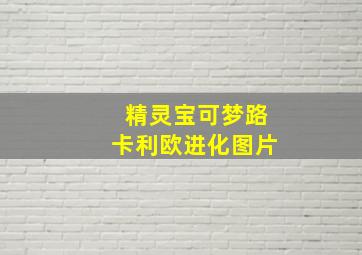 精灵宝可梦路卡利欧进化图片