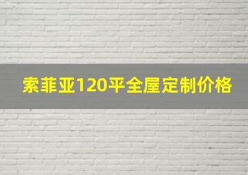 索菲亚120平全屋定制价格