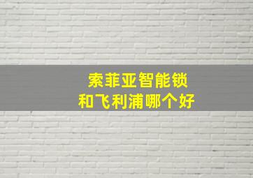 索菲亚智能锁和飞利浦哪个好