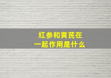 红参和黄芪在一起作用是什么