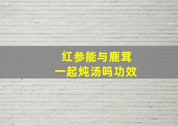 红参能与鹿茸一起炖汤吗功效