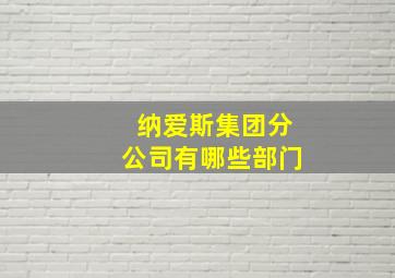 纳爱斯集团分公司有哪些部门