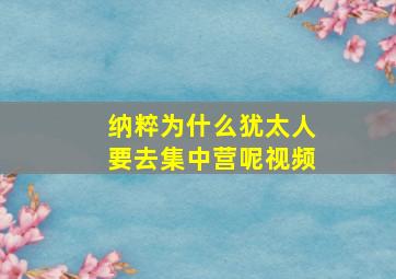 纳粹为什么犹太人要去集中营呢视频