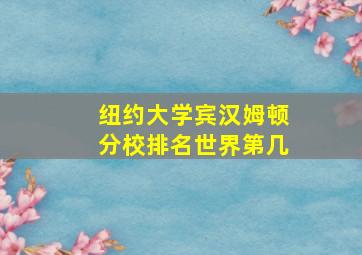 纽约大学宾汉姆顿分校排名世界第几