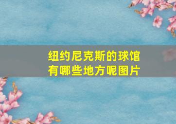 纽约尼克斯的球馆有哪些地方呢图片