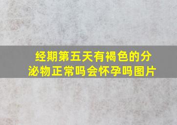 经期第五天有褐色的分泌物正常吗会怀孕吗图片