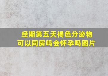 经期第五天褐色分泌物可以同房吗会怀孕吗图片