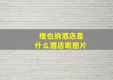 维也纳酒店是什么酒店呢图片