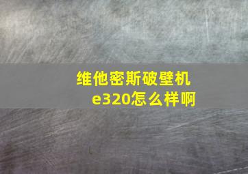 维他密斯破壁机e320怎么样啊