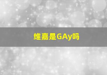 维嘉是GAy吗