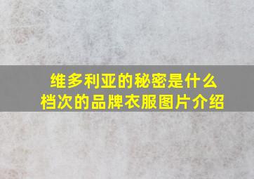 维多利亚的秘密是什么档次的品牌衣服图片介绍