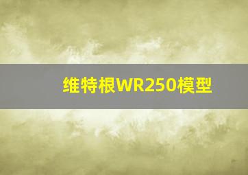 维特根WR250模型